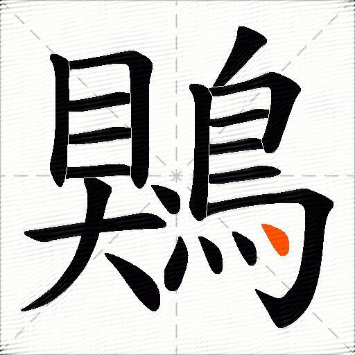 鶪