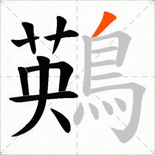 鶧