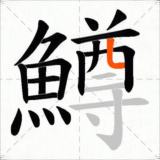 鱒