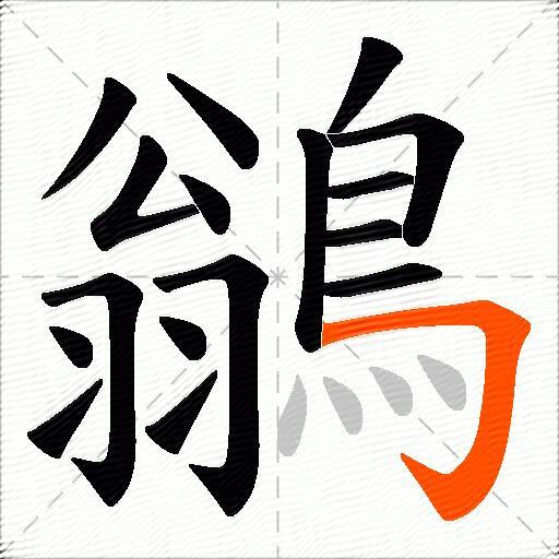 鶲