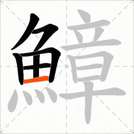 鱆
