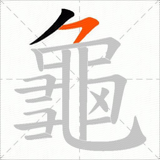龜