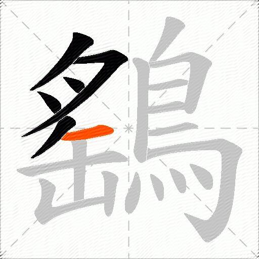 鷂