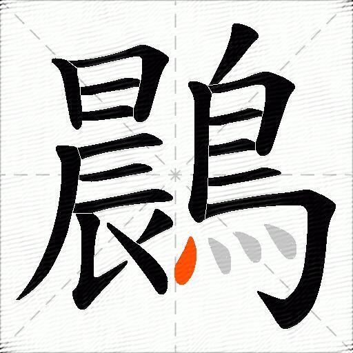 鷐
