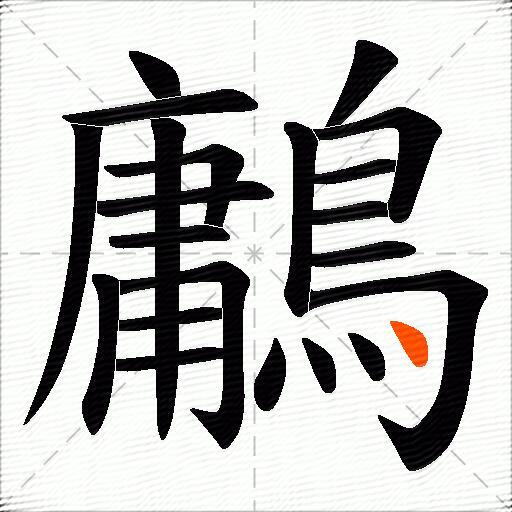 鷛