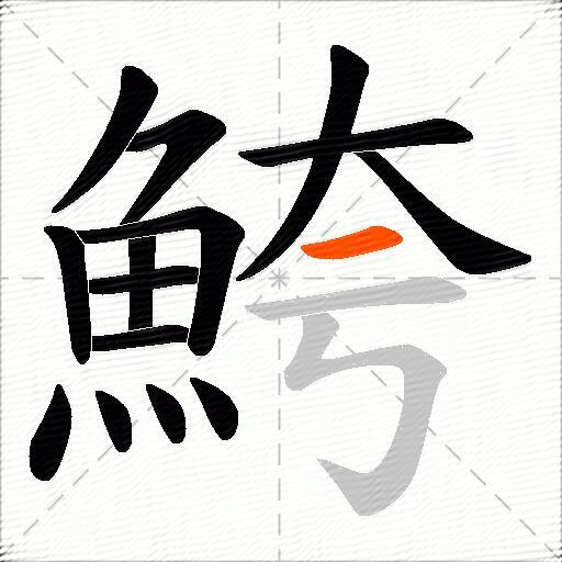 鮬