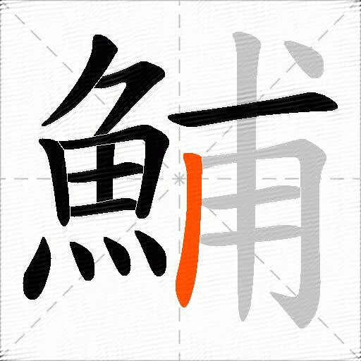 鯆