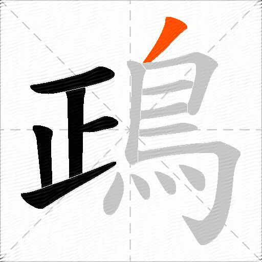 鴊