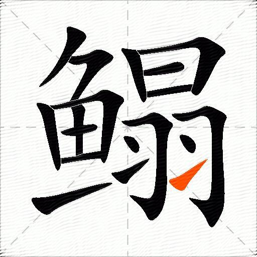 鳎