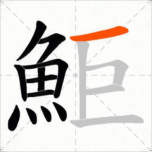 鮔