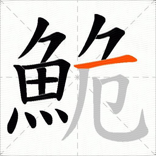 鮠