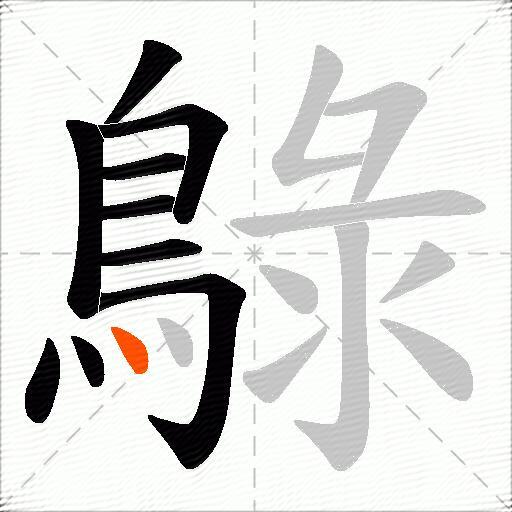 鵦