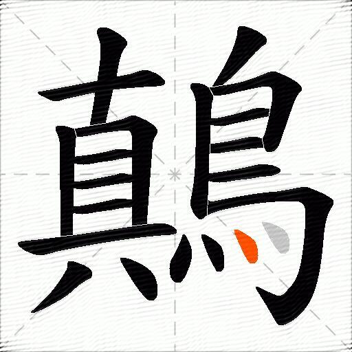 鷏