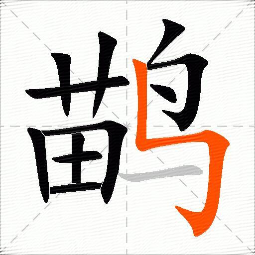 鹋