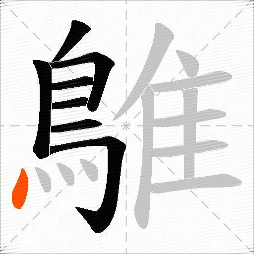 鵻