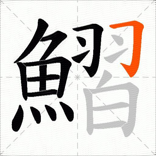 鰼