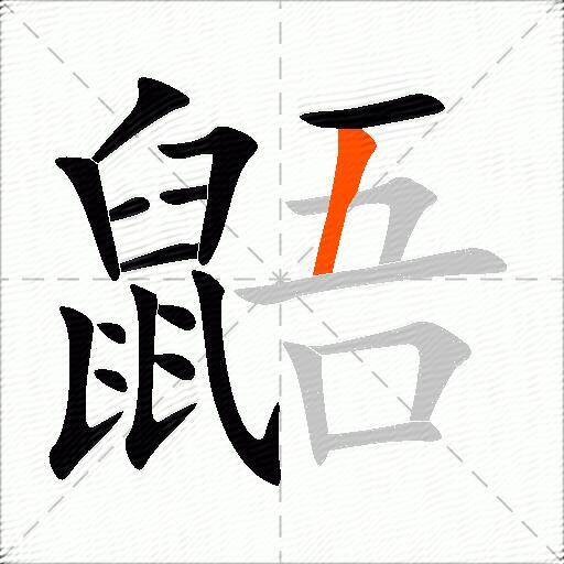 鼯