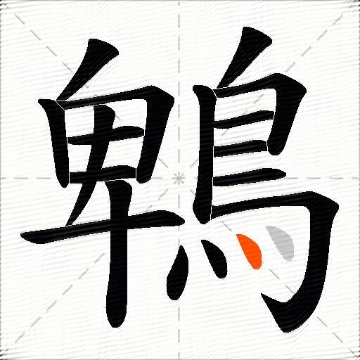 鵯