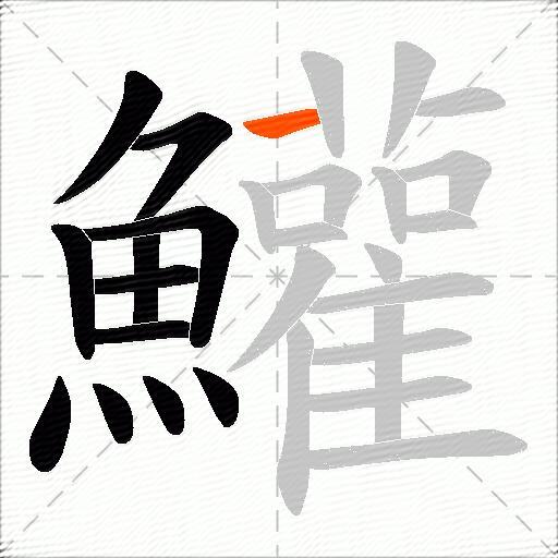 鱹