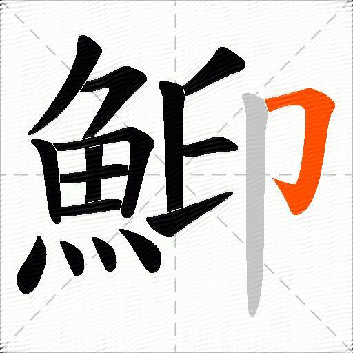 鮣