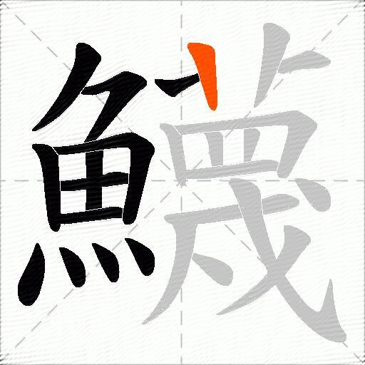 鱴