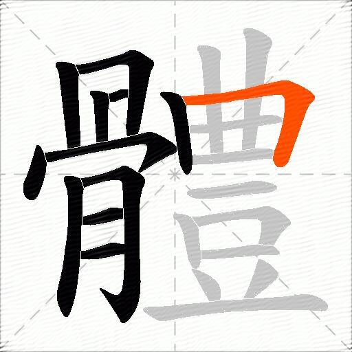 體
