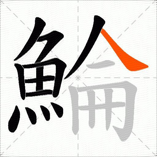 鯩
