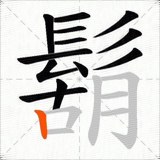 鬍