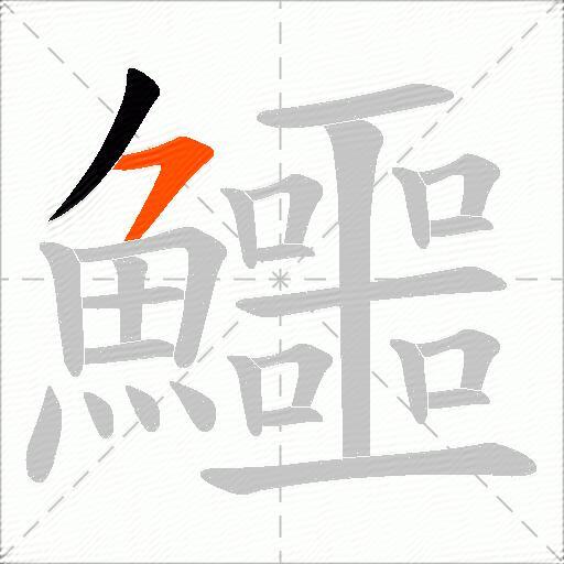 鱷