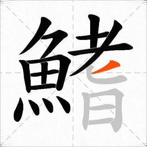 鰭