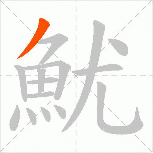 魷
