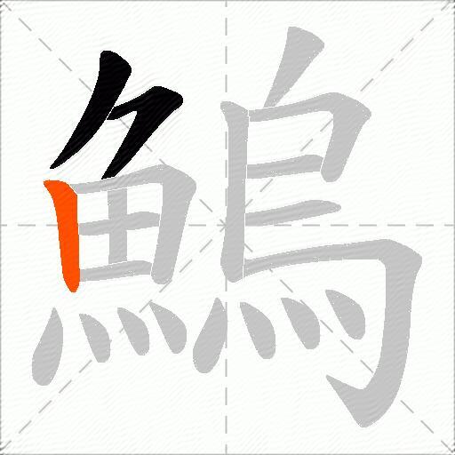 鰞
