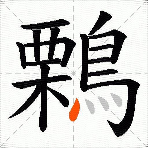 鷅