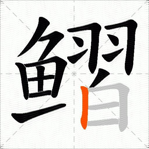 鳛