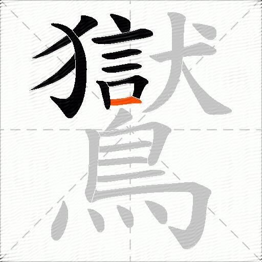 鸑