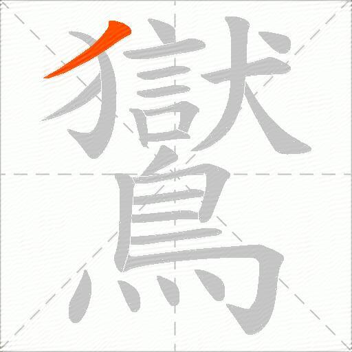 鸑