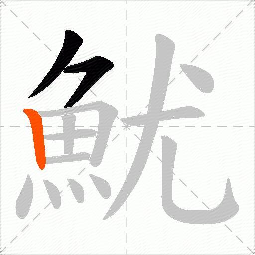 魷