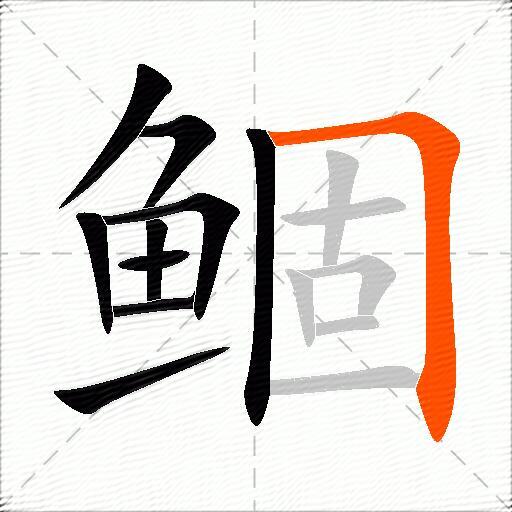 鲴