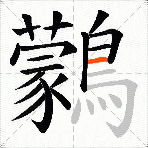鸏
