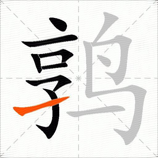 鹑