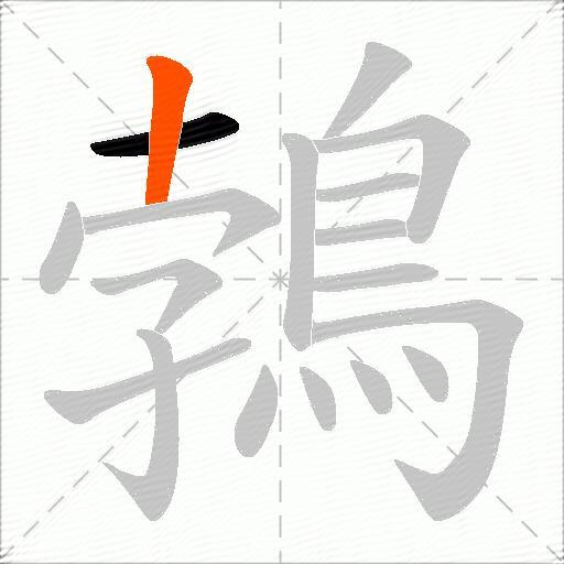 鵓