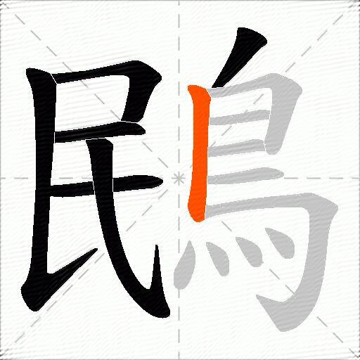 鴖