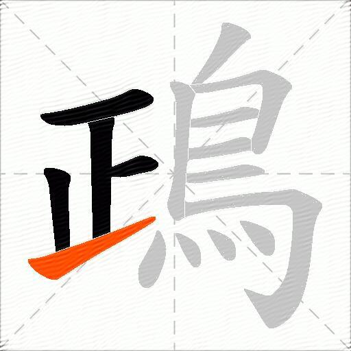 鴊