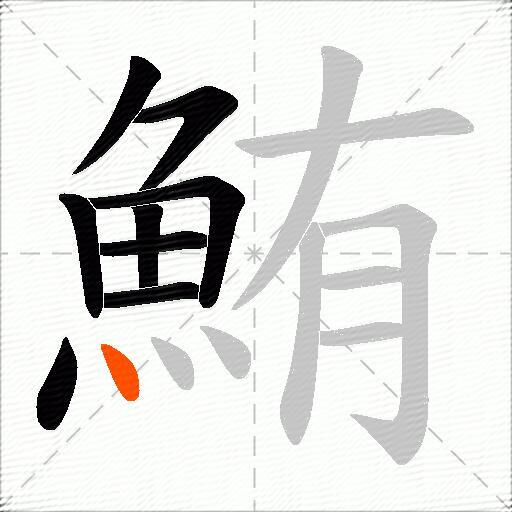 鮪