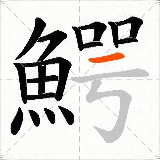 鰐