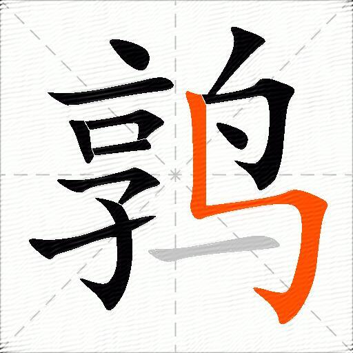 鹑