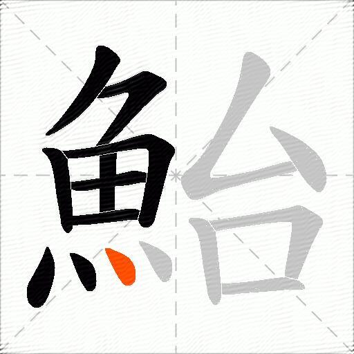 鮐