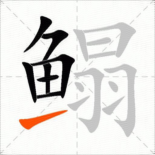 鳎