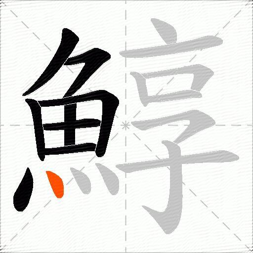 鯙