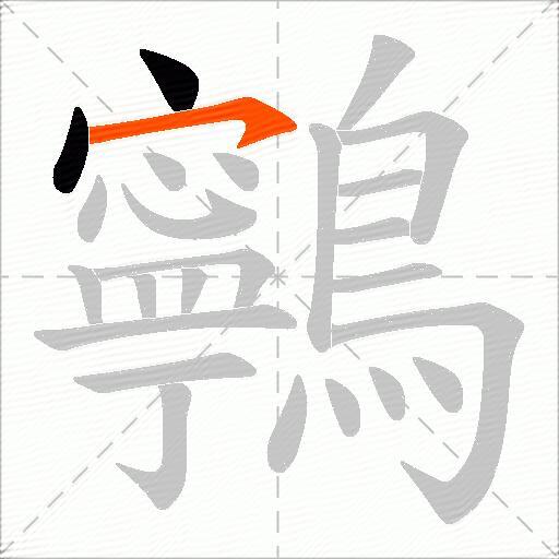 鸋